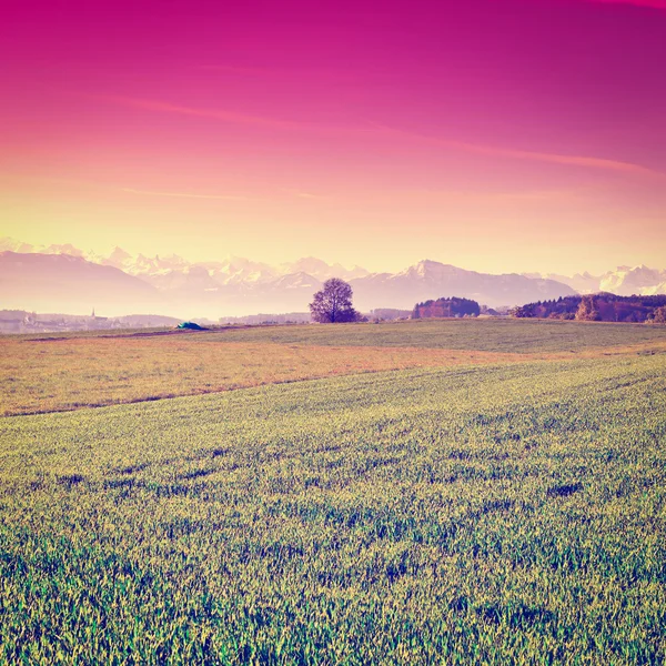 Pasture at Sunset — Stock Photo, Image