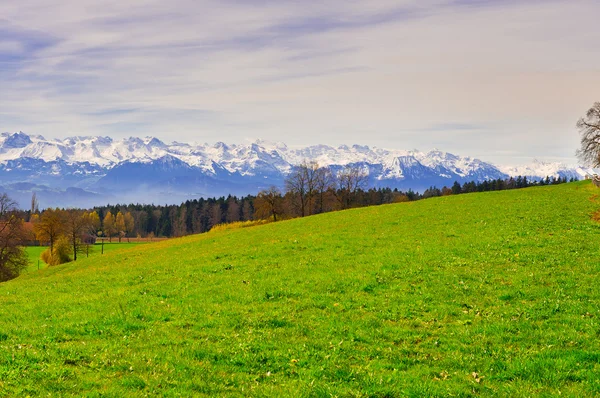 Alpes nevados — Foto de Stock