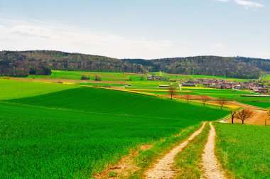 İsviçre Alpine mera
