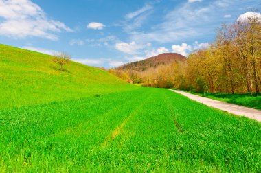 İsviçre Alpine mera