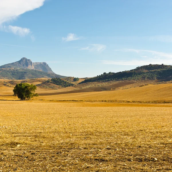 Tal in Spanien — Stockfoto