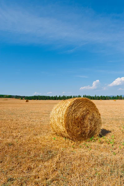 Széna bálák, Olaszország — Stock Fotó