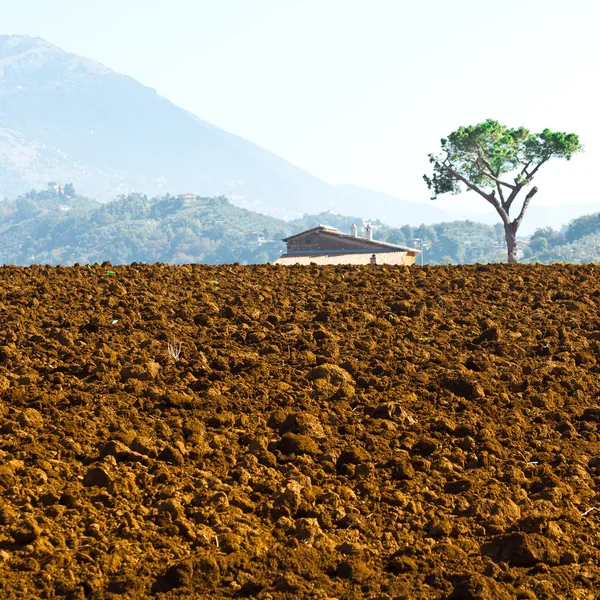 Plowed Fields in Italy — Stock Photo, Image
