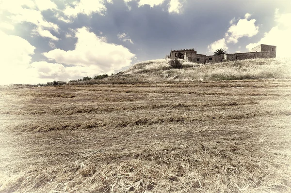 Κούρεμα πεδίο στη Σικελία — Φωτογραφία Αρχείου