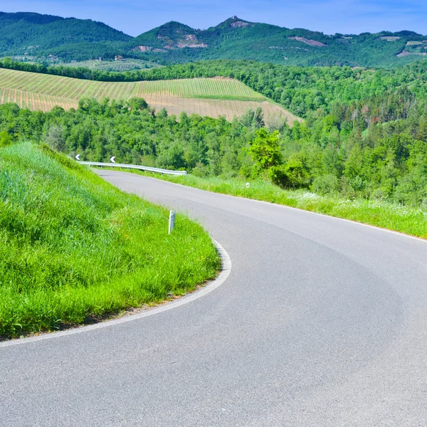 Route entre les vignobles — Photo