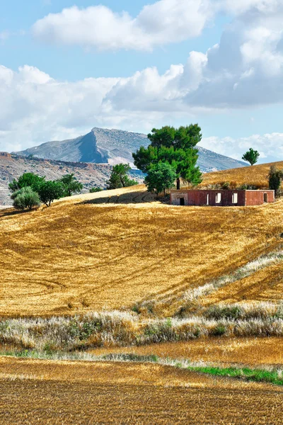 Sicilya 'nın Buğday Tarlaları — Stok fotoğraf