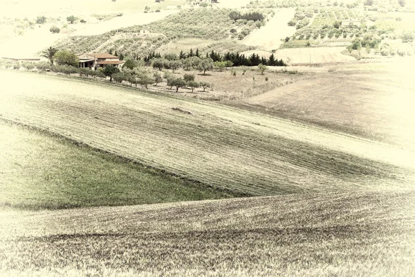 Stubble Fields of Sicily — Stock Photo, Image