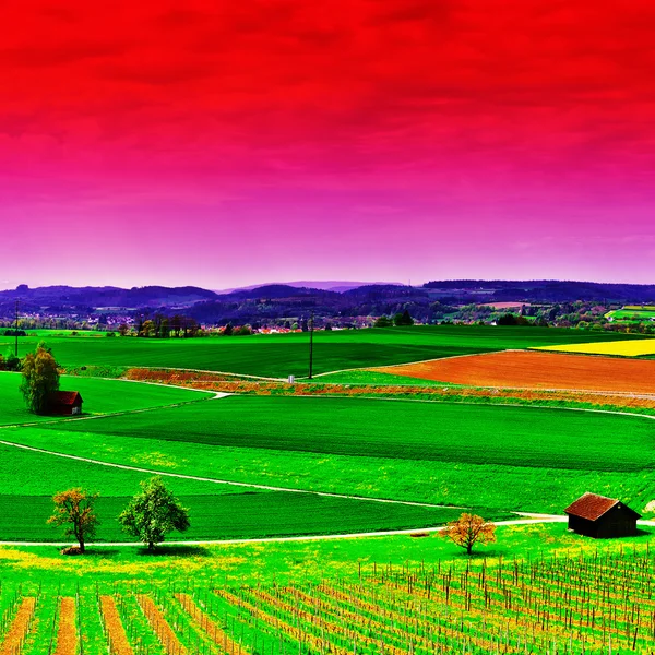 Groene velden in Zwitserland — Stockfoto