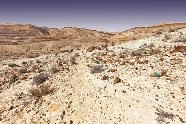 Скелясті гори в пустелі — стокове фото