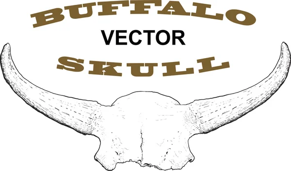 古いバッファローの頭蓋骨 — ストックベクタ