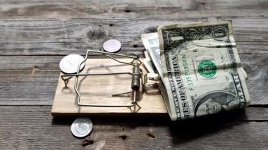 ABD para biriminin yem olarak kullanıldığı Fare Kapanı 'nın kavramsal videosu Dolarlar' ı tetikliyor. 