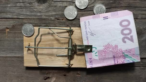 Conceptual Video Mousetrap Which Ukrainian Currency Hryvnia Put Bait Triggered — Stock Video