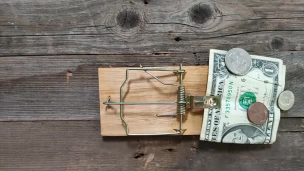 米国通貨が餌として置かれているMousetrap ドルがトリガーされる概念的なビデオ — ストック動画