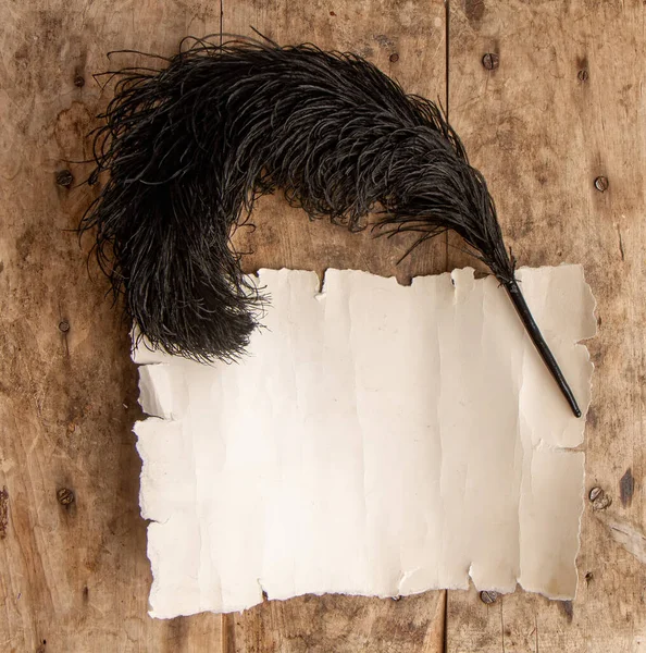 Vintage Black Ostrich Pen Writing Blank Sheet Parchment Place Text — Stock fotografie