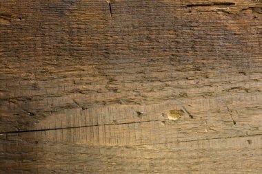 eski yönetim kurulu