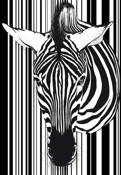 Zebra Barcode Gesicht und Hals — Stockvektor