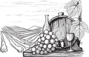 Winemaking illustration clipart