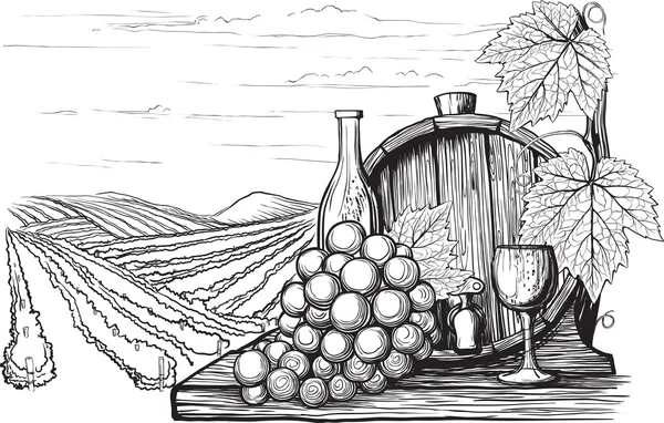 Illustration vinicole — Image vectorielle