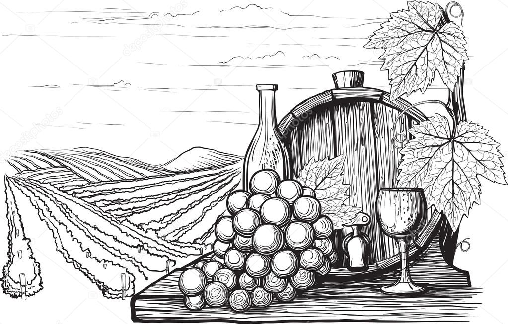 Winemaking illustration