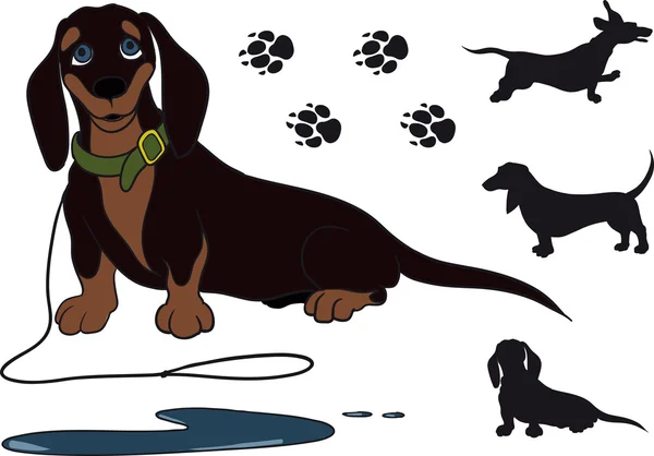 Oturma dachshund — Stok Vektör