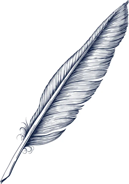 Caneta Quill — Vetor de Stock