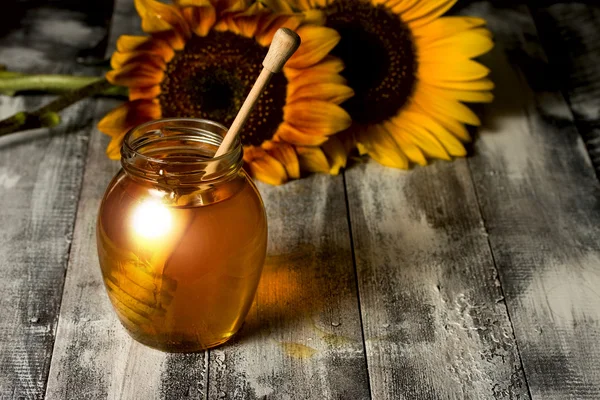 Honey Pot és napraforgó — Stock Fotó
