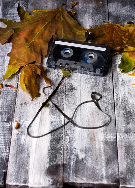 Cassette caída — Foto de Stock