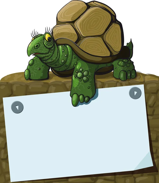 Tortuga inteligente — Vector de stock