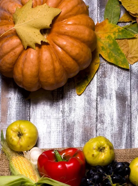 Herfst achtergrond — Stockfoto