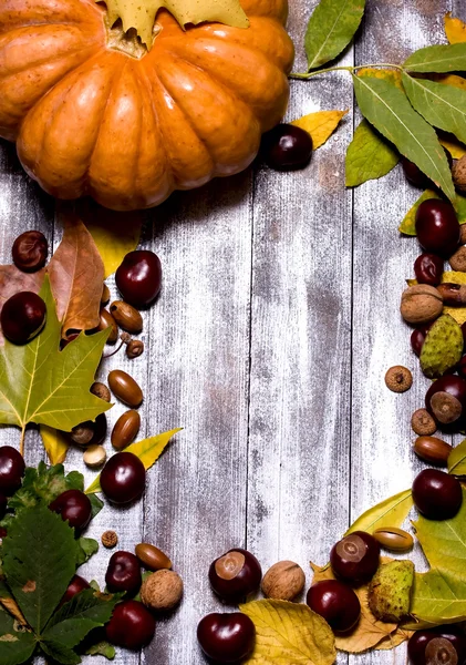 Fondo de otoño — Foto de Stock