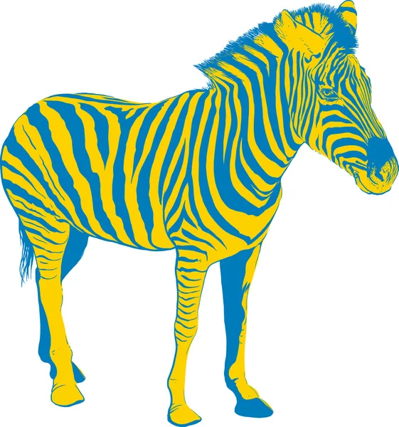 Amarelo Azul Zebra — Vetor de Stock