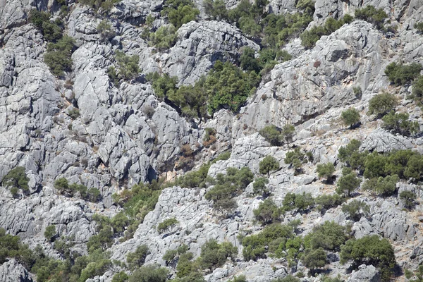 Κατακόρυφο βράχο τοίχο — Φωτογραφία Αρχείου