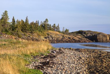 Beyaz deniz kıyısında, Kuzey Rusya