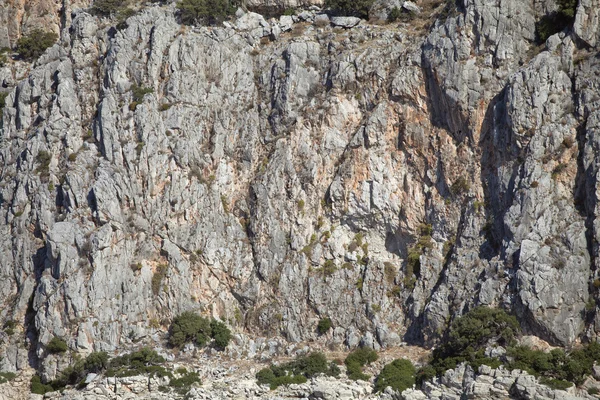 Vertical cliff wall — Stock Photo, Image