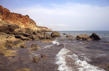 Ebb deniz kıyılarında