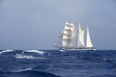 Tall ship in the sea clipart