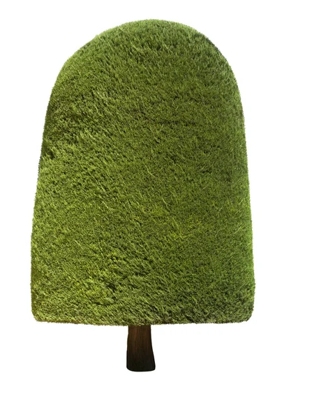 Topiary tree — Stock Photo, Image