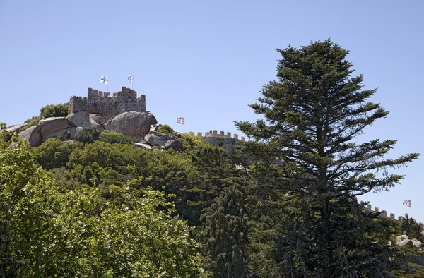 Château des Maures à Sintra — Photo