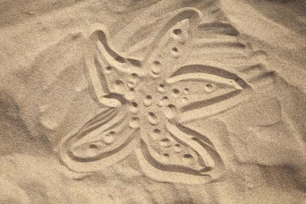 Étoile de mer tirée dans le sable — Photo