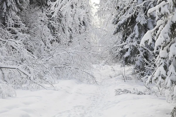 冬の路地 — ストック写真