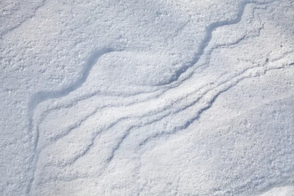Corteza de nieve — Foto de Stock