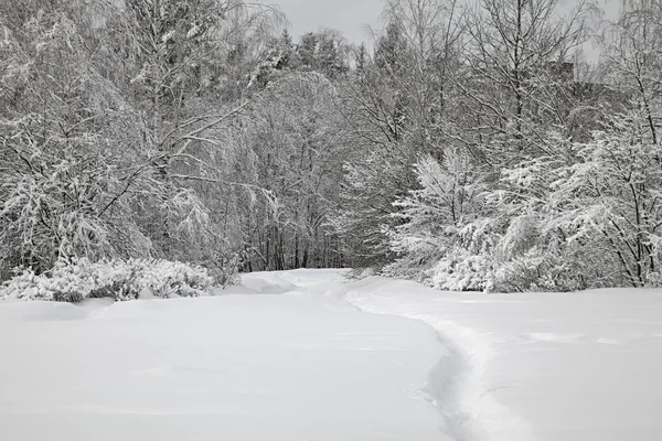 Winter alley — Stockfoto