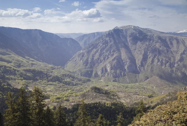 Desfiladeiro do rio Tara, Montenegro — Fotografia de Stock