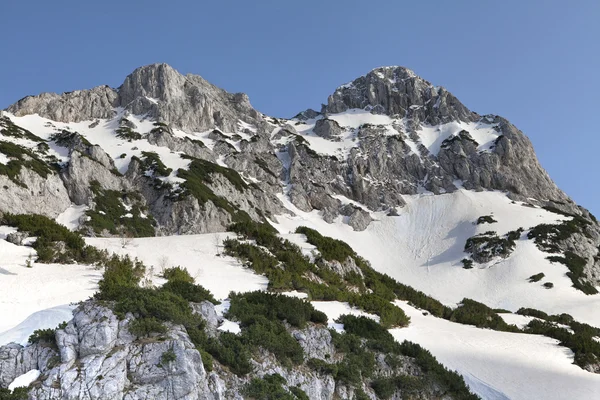 Nationalpark durmitor, Serbien — Stockfoto