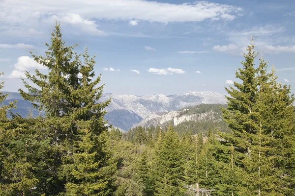 Kanyon Nehri'nin Tara, Karadağ