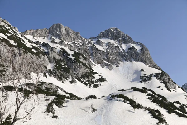 Nationalpark durmitor, Serbien — Stockfoto