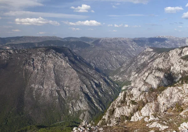 Kanyon Nehri'nin Tara, Karadağ — Stok fotoğraf