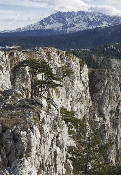 Schlucht des Flusses Tara, Montenegro — Stockfoto