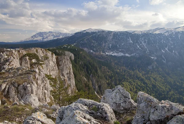 Canyon of river Tara, Montenegro — Stock Photo, Image