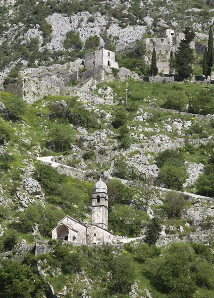 Ruinerna av fästningen över Kotor — Stockfoto